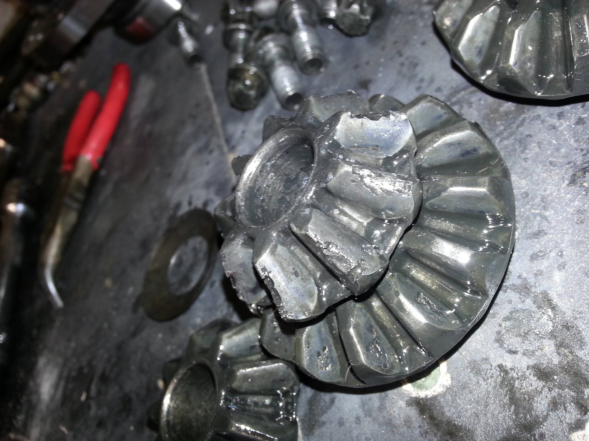 20130406_160415.jpg