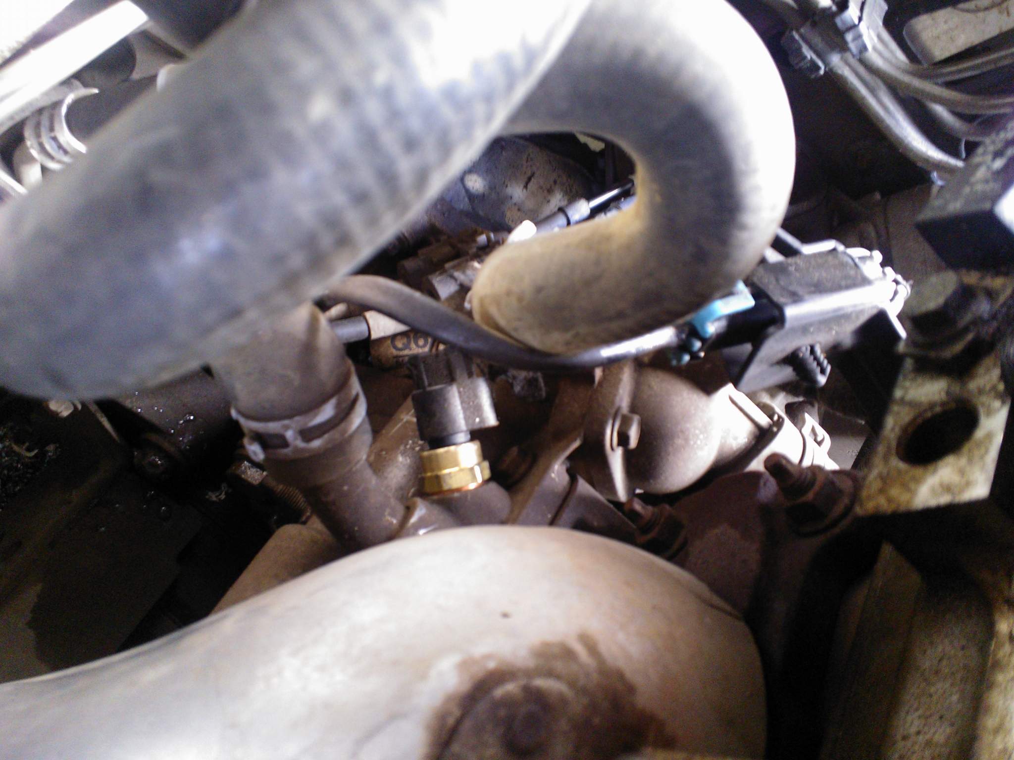 WP_000015_2.jpg